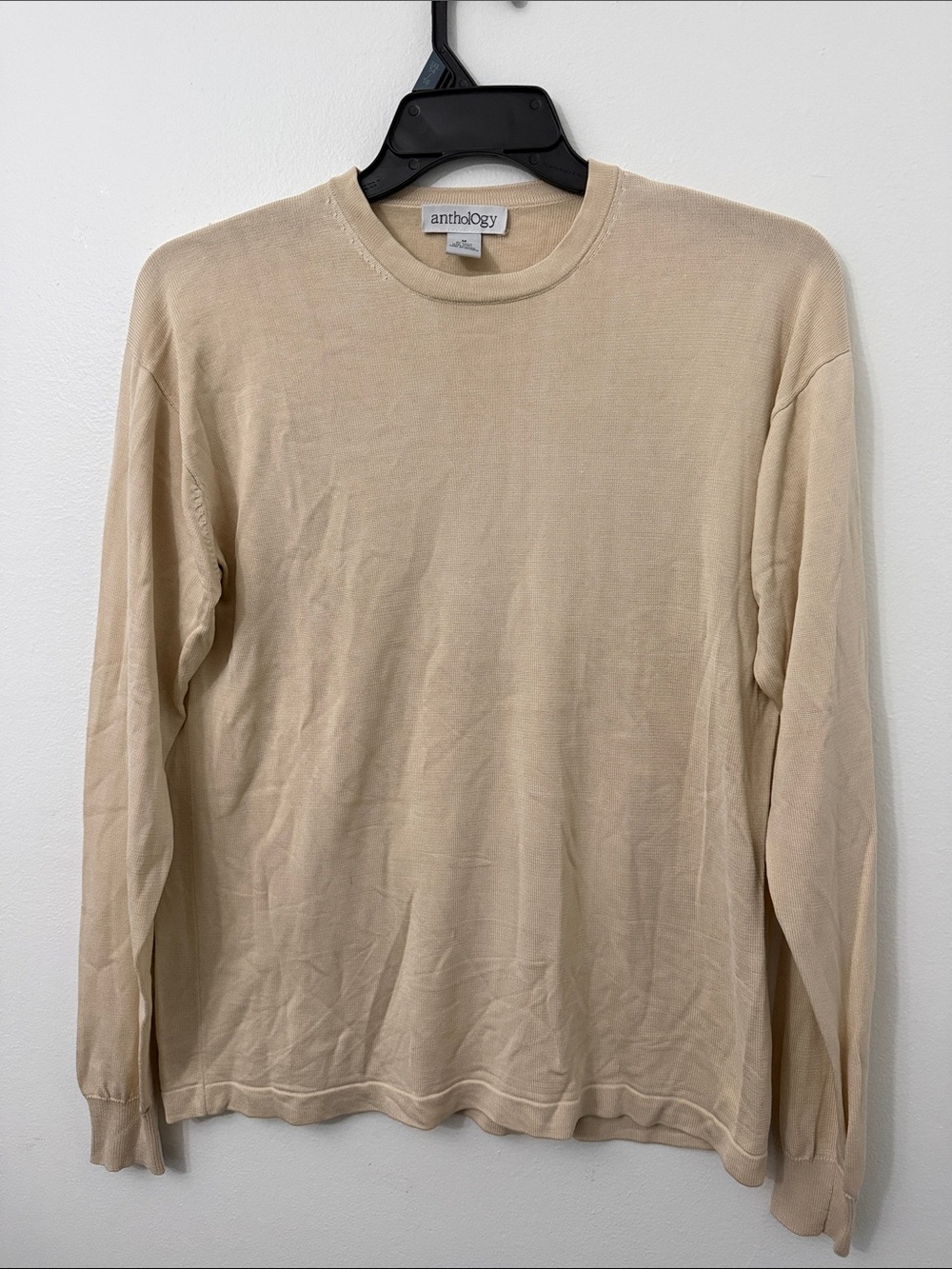 Anthropologie Men's Long-Sleeve Crewneck Sweater in Beige
